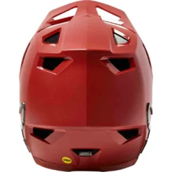 Fox Racing RAMPAGE HELMET, AS -Fox Racing FO27508003S 3