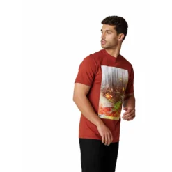 Fox Racing DILINEATION SS PREMIUM TEE 36 Fox Racing DILINEATION SS PREMIUM TEE -Fox Racing FO297873692X 1